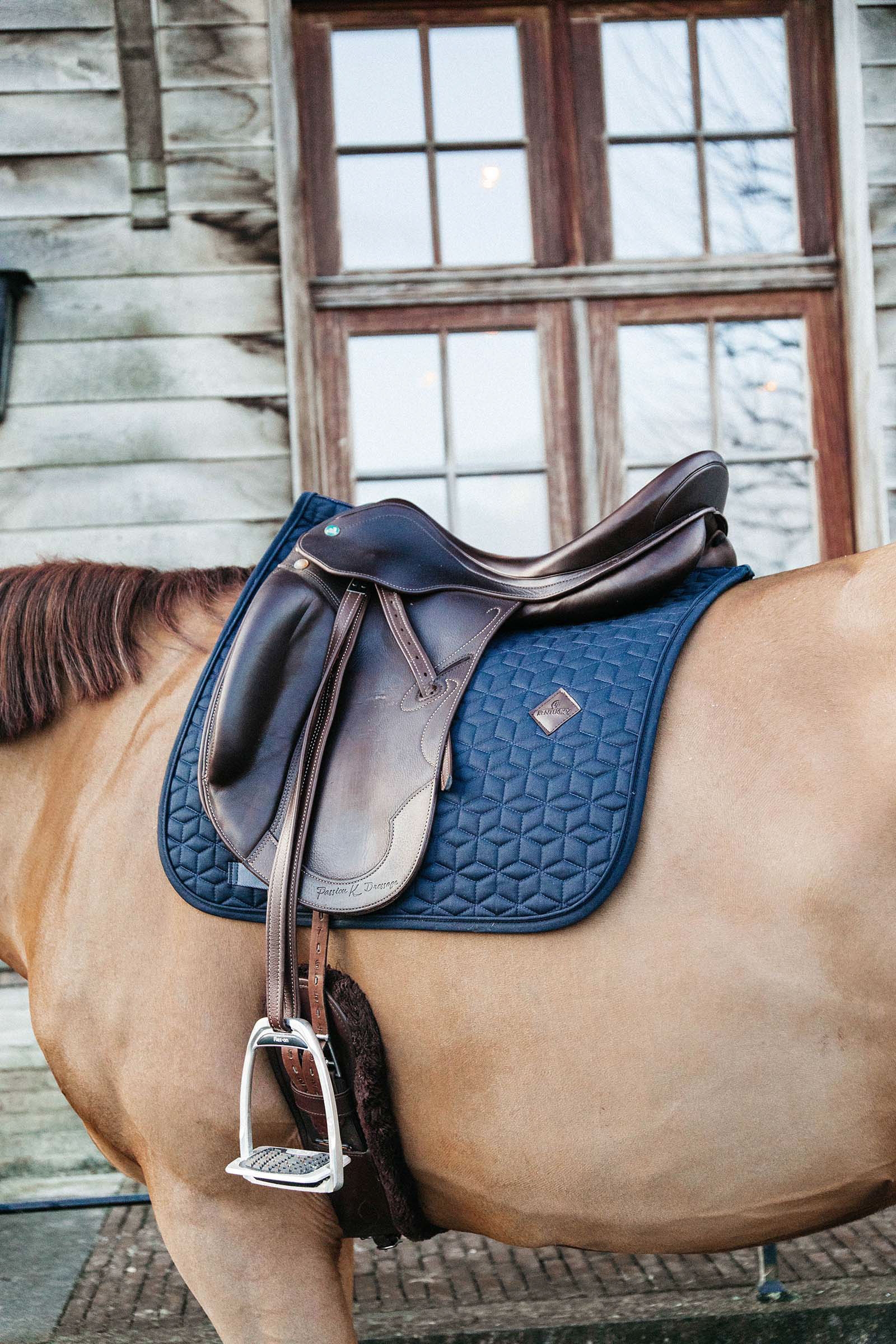 DB/AB Kentucky Horsewear Basic Dressurschabracke