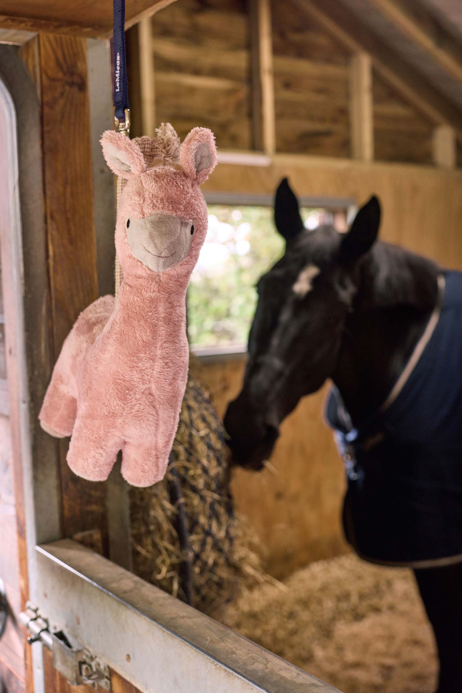 LeMieux Plush Llama Pferdespielzeug