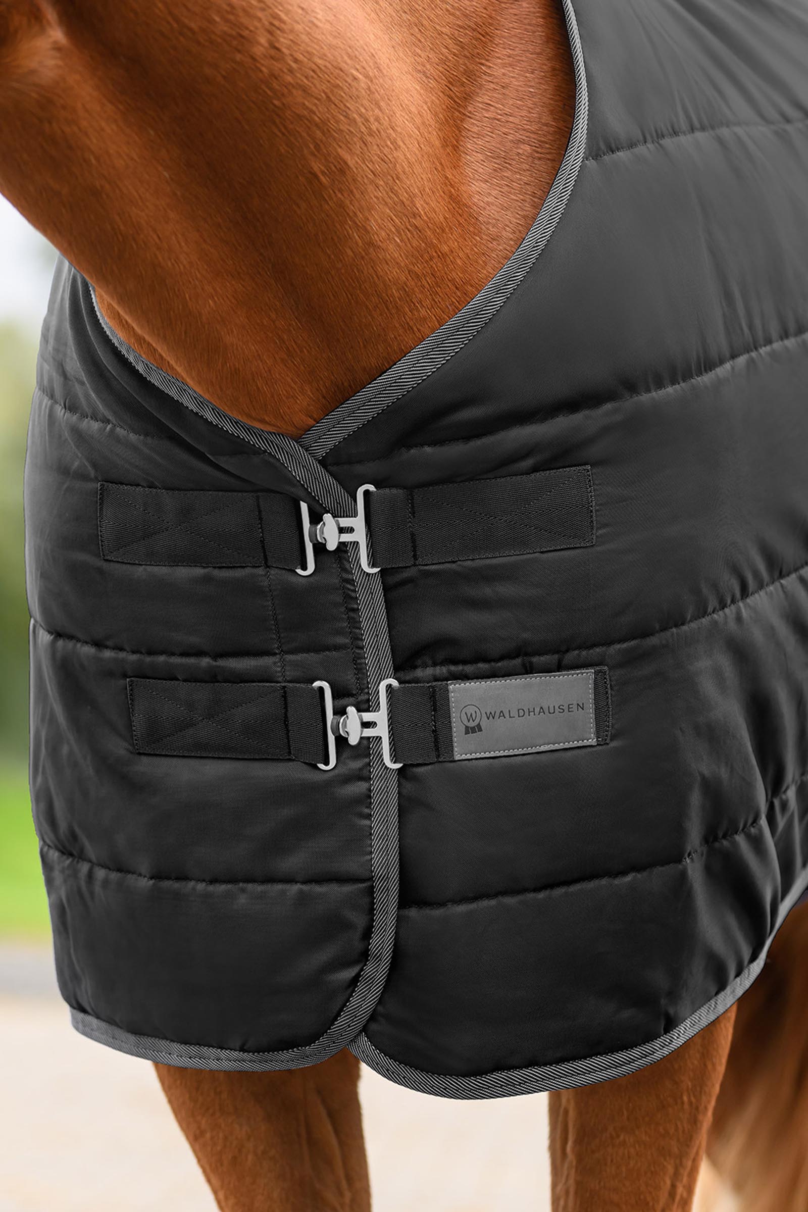 Waldhausen ECONOMIC Stalldecke, 100g