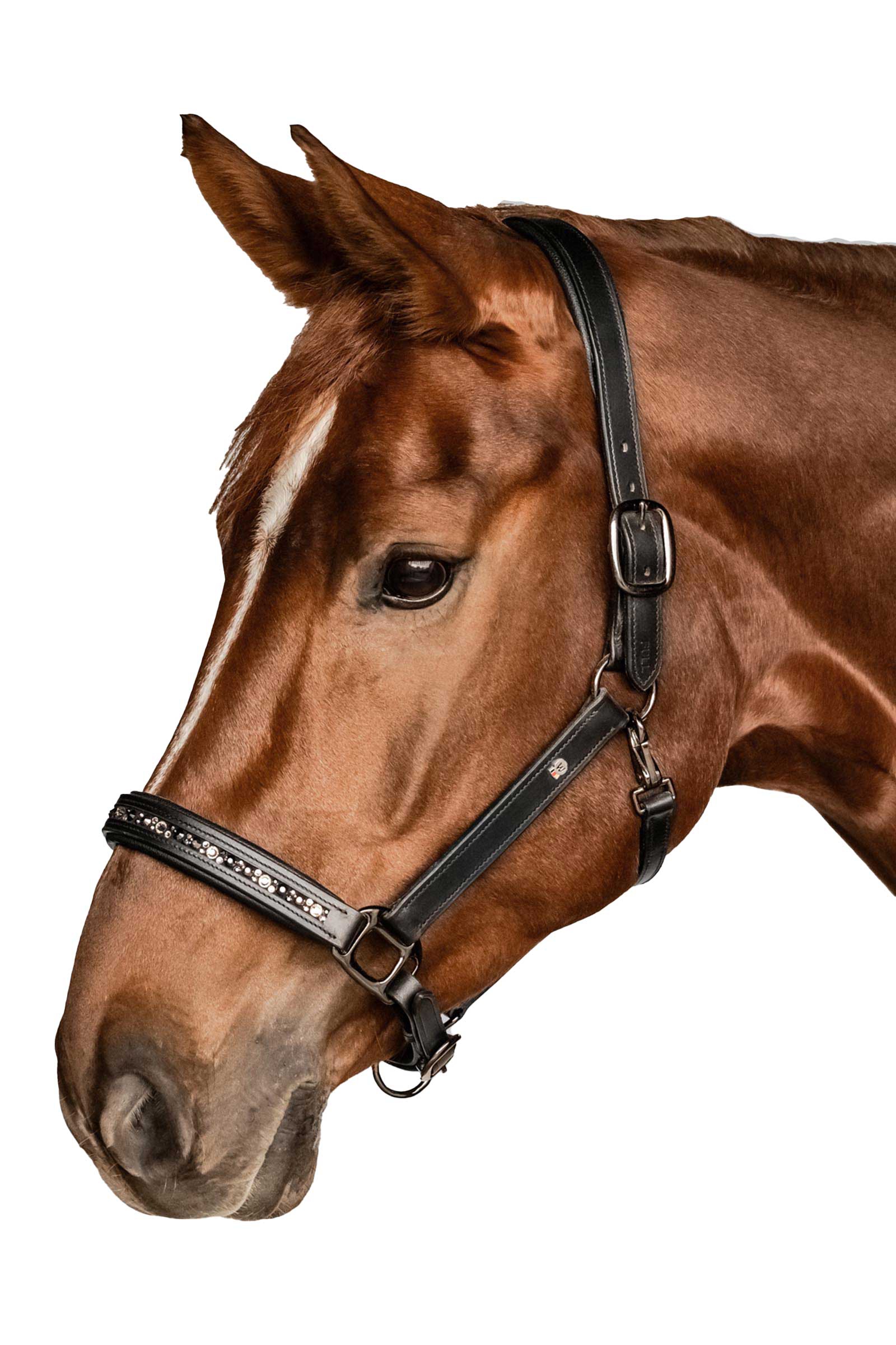 Waldhausen X-Line Crystal Lederhalfter