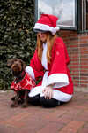 Horze Weihnachts-Hundepullover