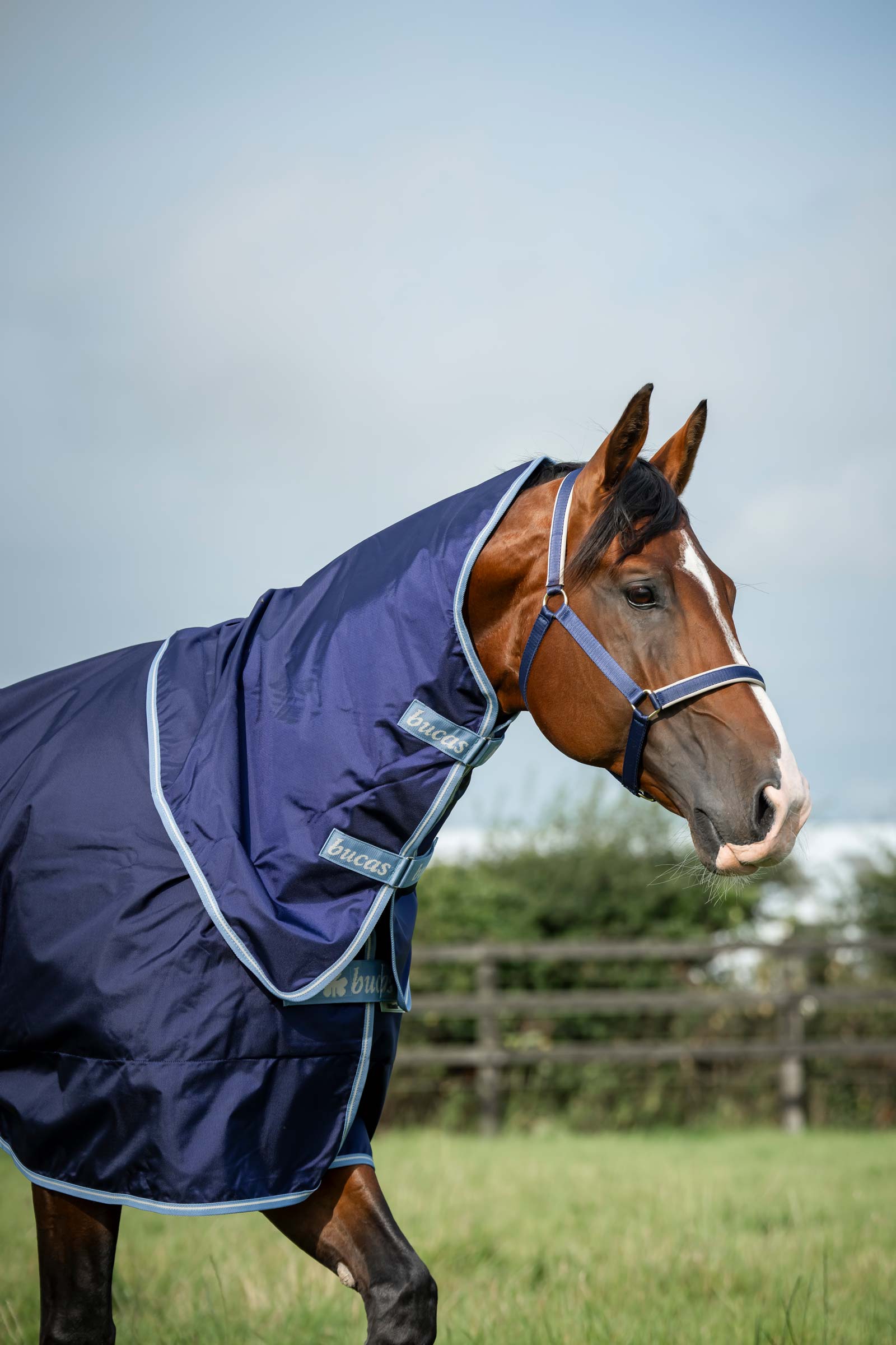 Bucas Atlantic Exclusive Decke & Halsteil Set, 150 g