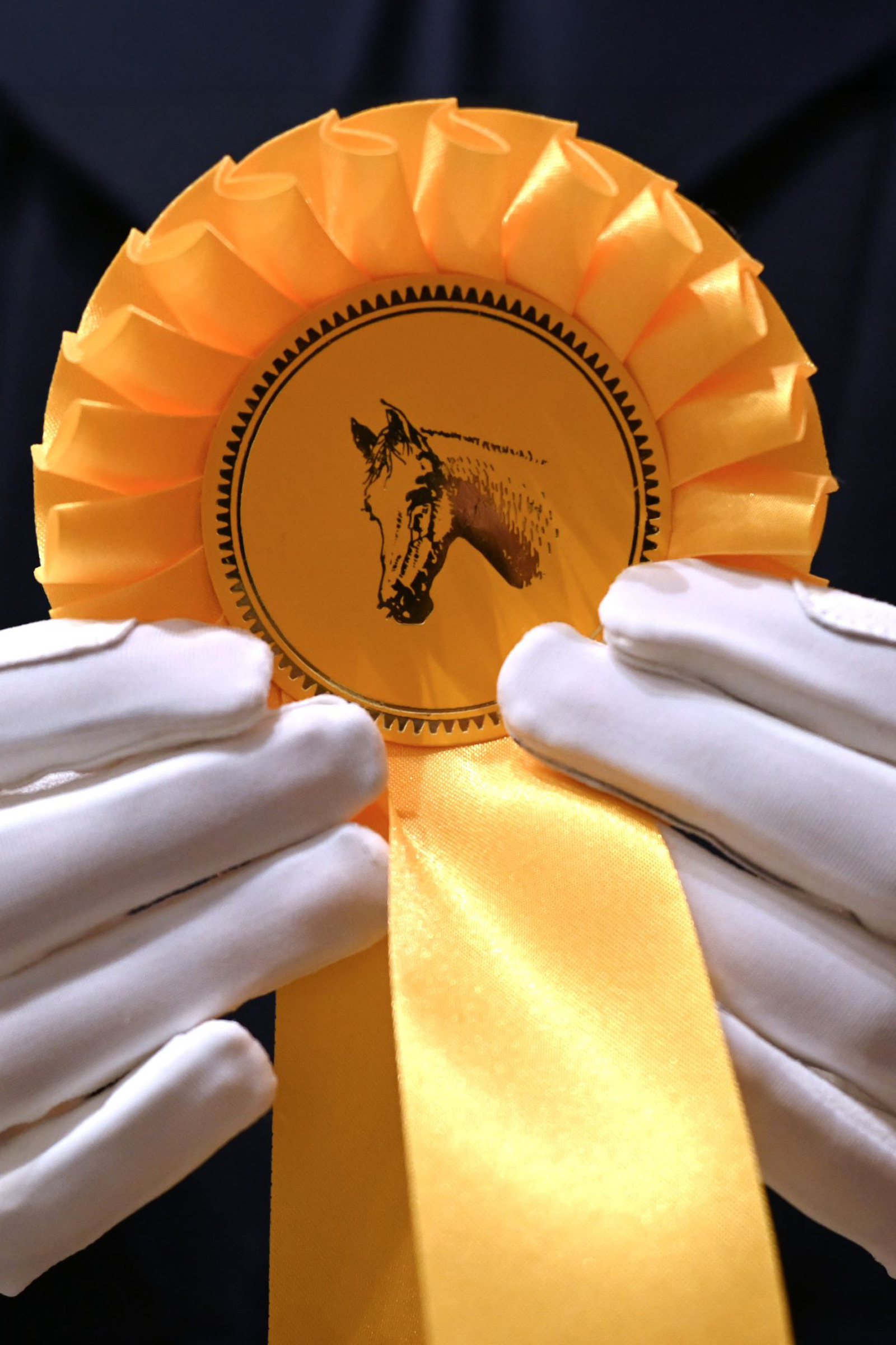 RSL Amalia Kinder-Reithandschuhe