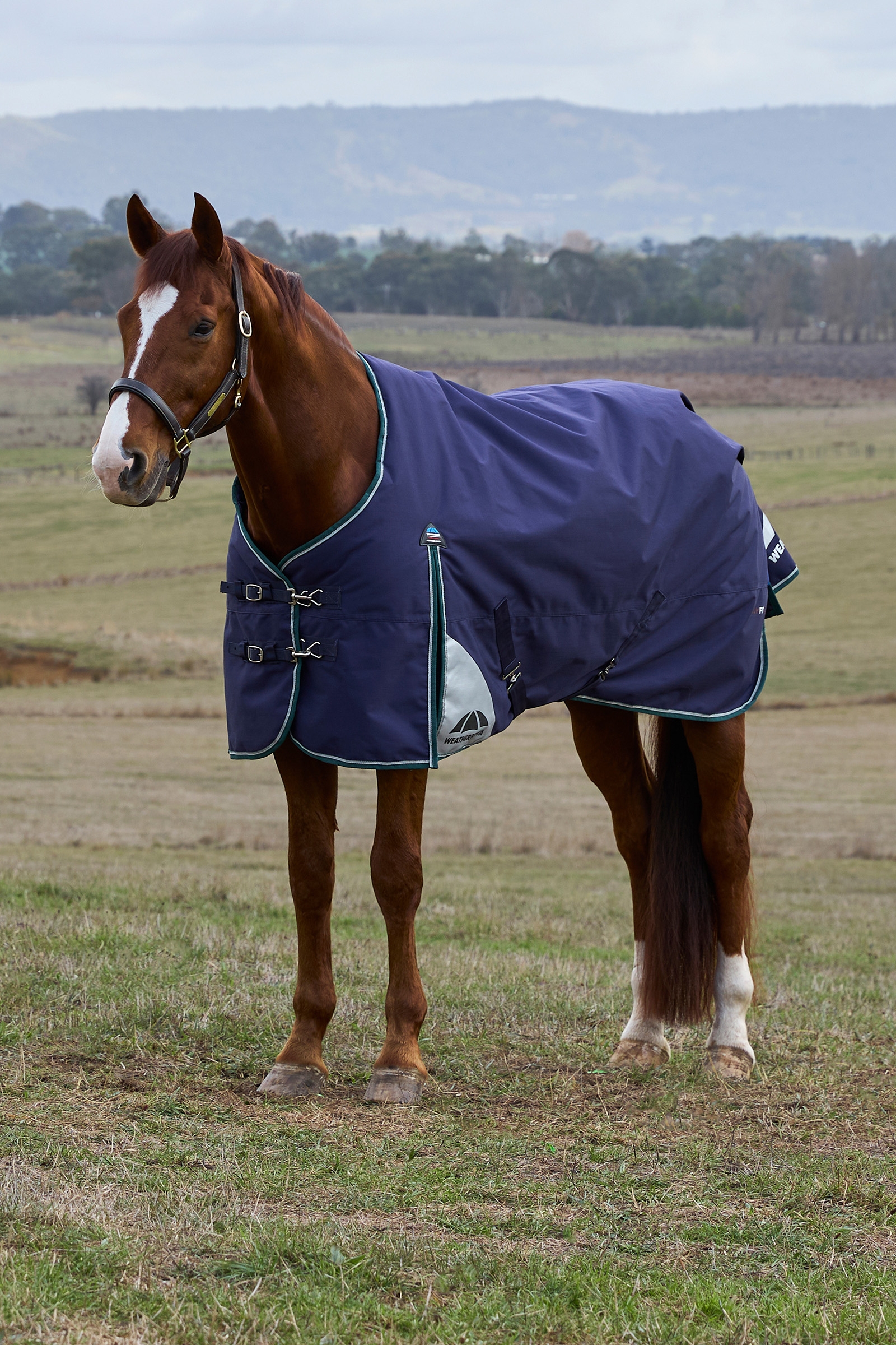 Weatherbeeta ComFiTecPlus Dynamic Outdoor-Decke mit abnehmbarem Hals, 100 g  