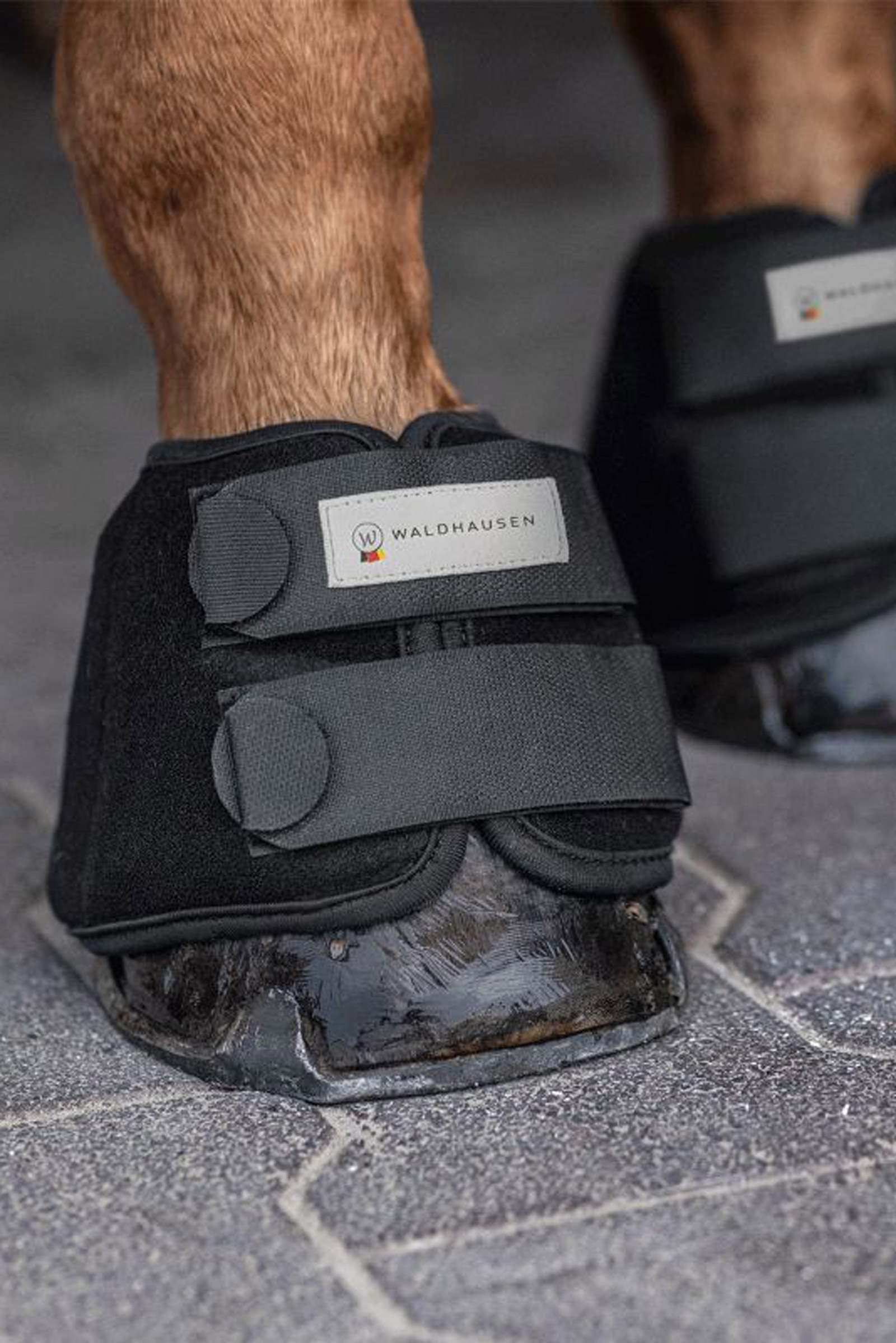 Waldhausen Kühlhufglocke, Paar