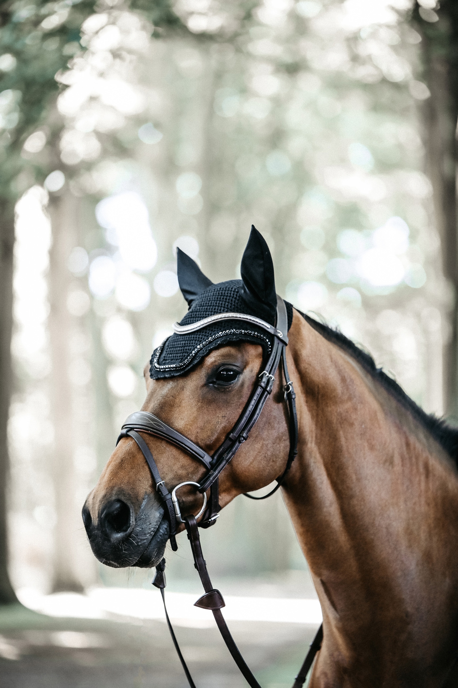 Kentucky Horsewear Wellington Stone & Pearl Fliegenhaube
