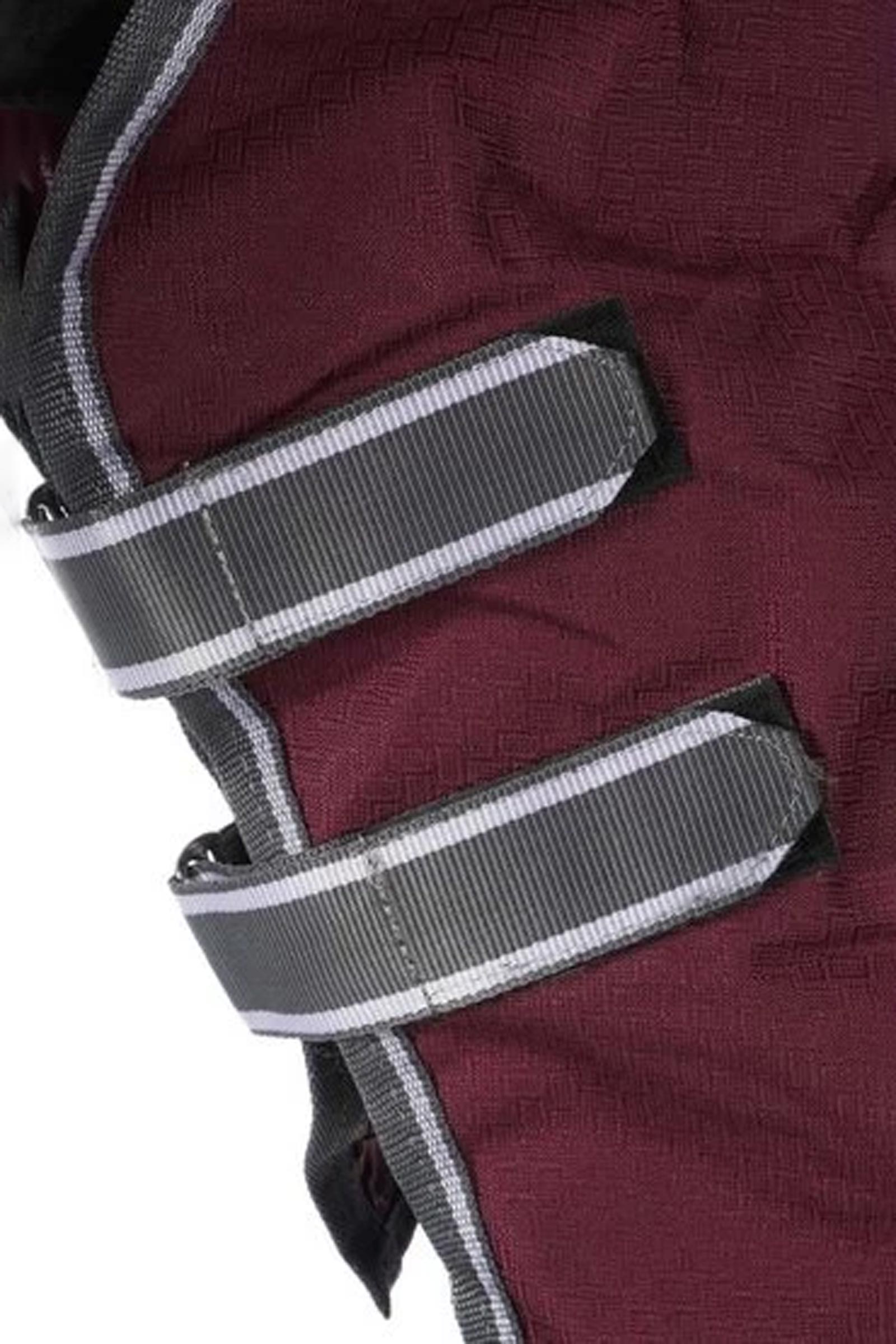 Weatherbeeta Comfitec Plus Dynamic II Weidedecke mit festem Halsteil, 100g