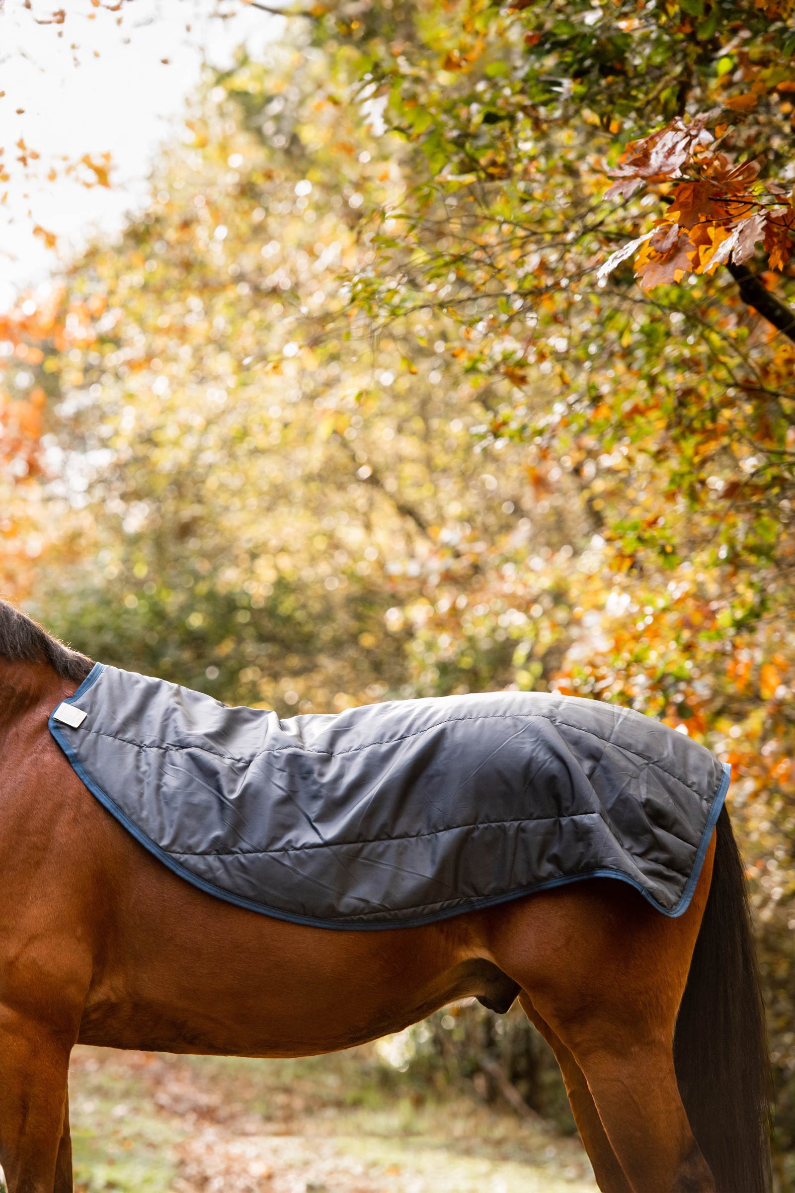 Horseware Rambo Autumn Series Weidedecke mit Unterdecke (0 g / 100 g)