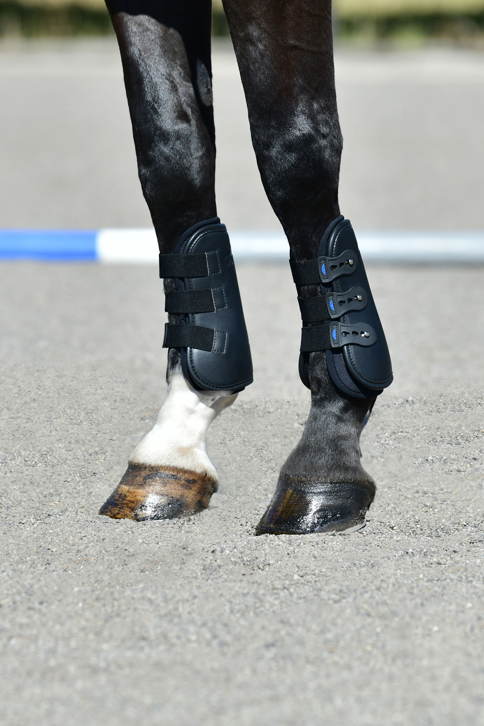 Weatherbeeta Tough-Tec Pro Gamaschen, vorne