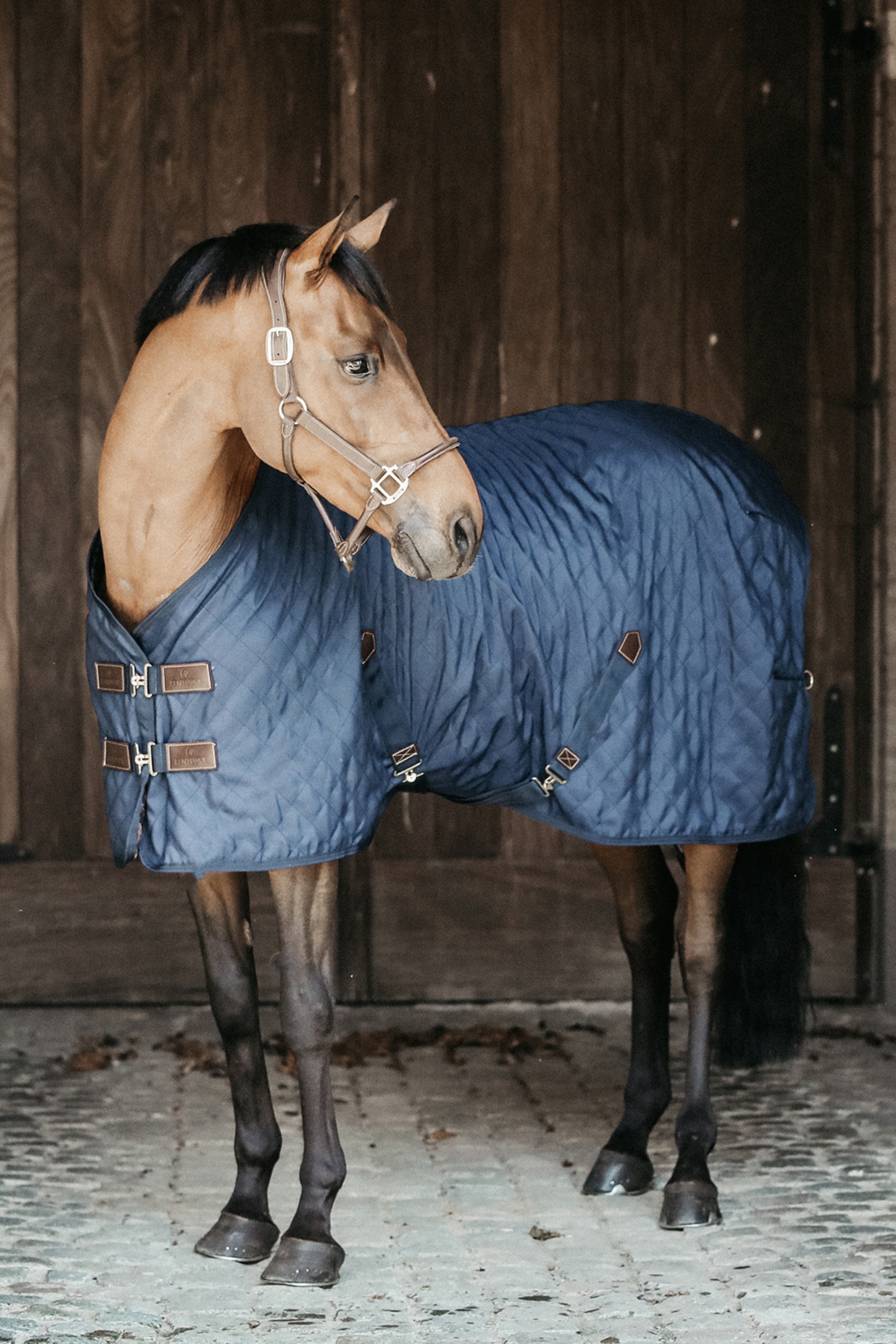 DB/AB Kentucky Horsewear Stalldecke, 0g