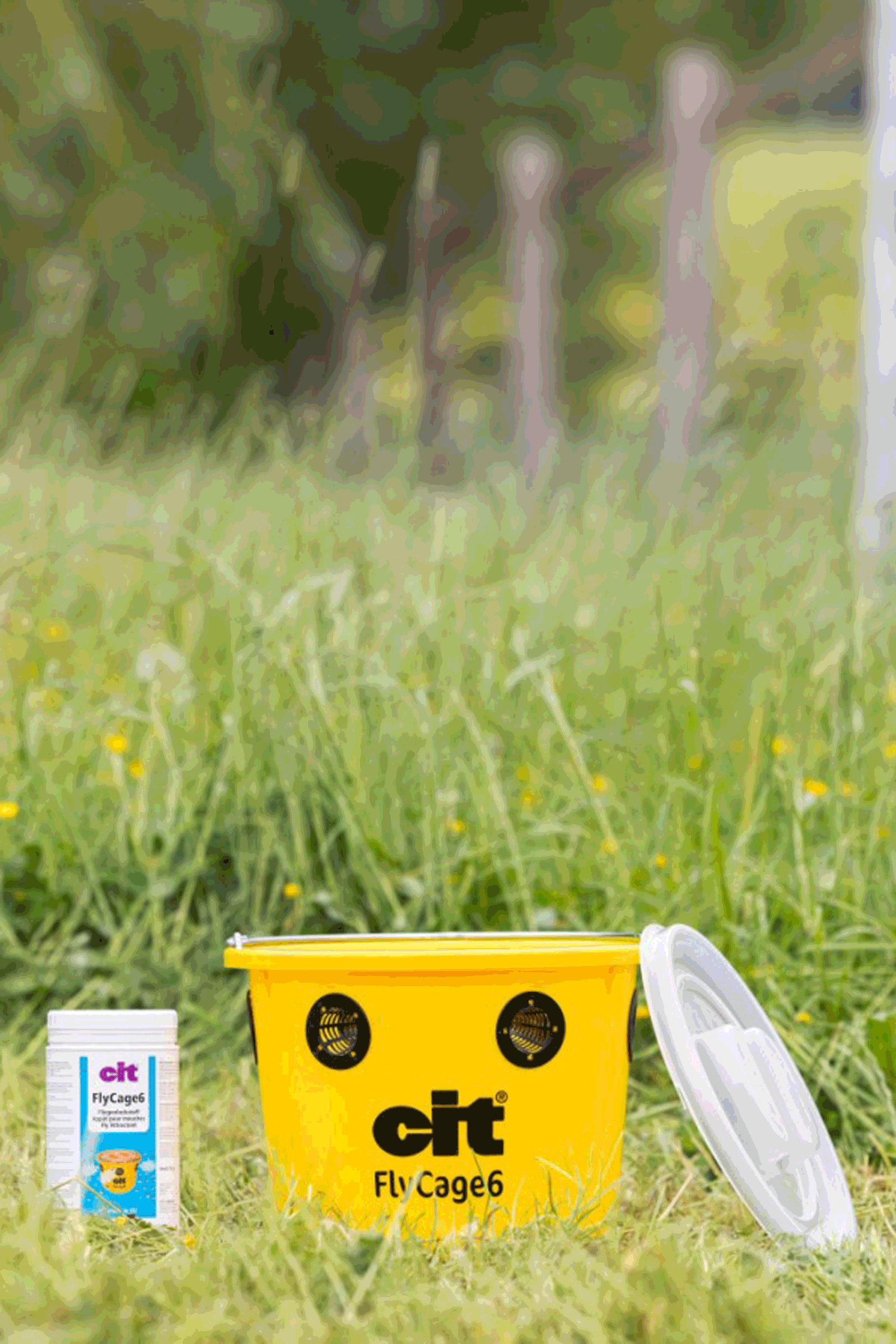 Kerbl Cit FlyCage6 Fliegenfalle, Set inkl. 750 g Lockstoff