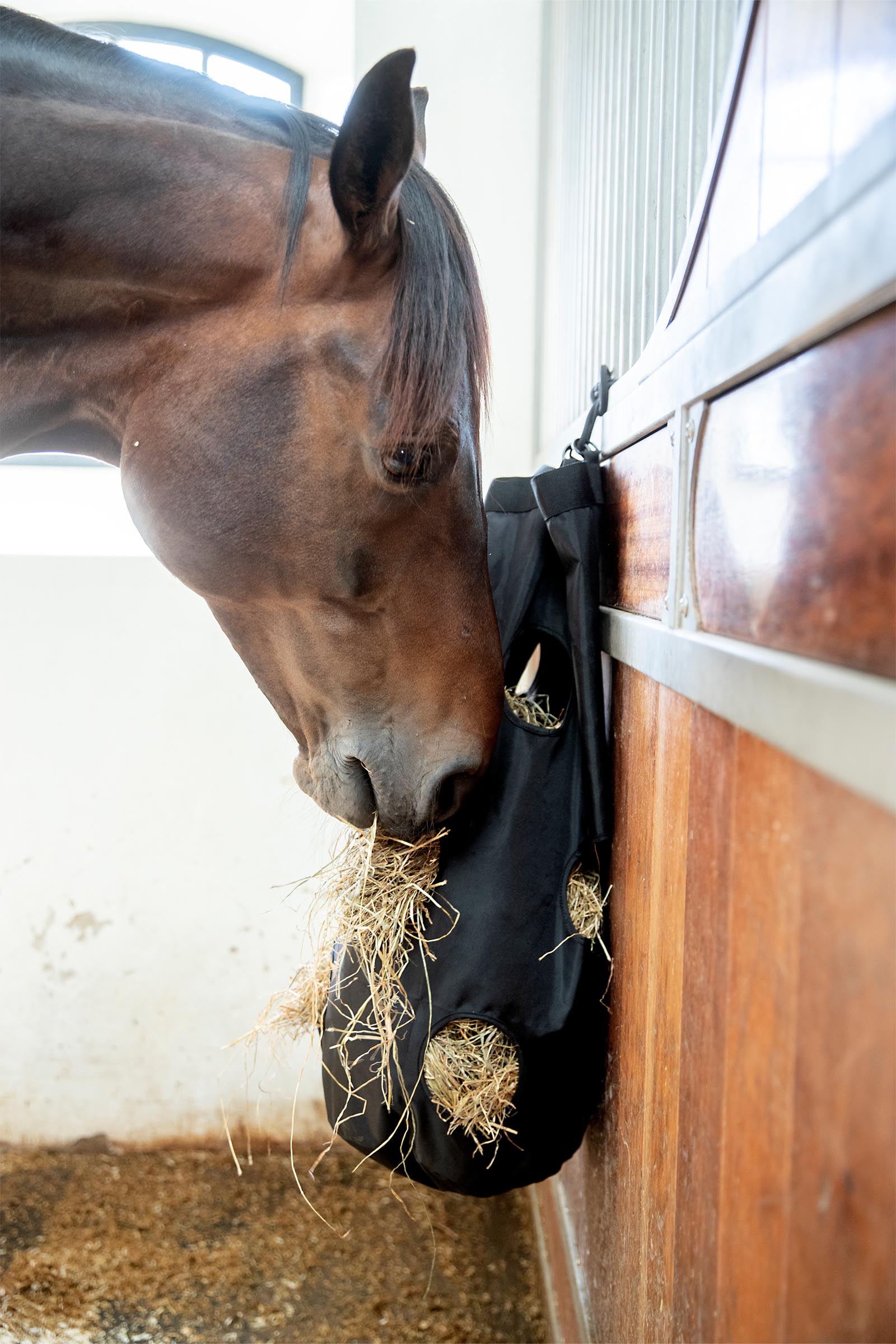 CATAGO Runde Heutasche