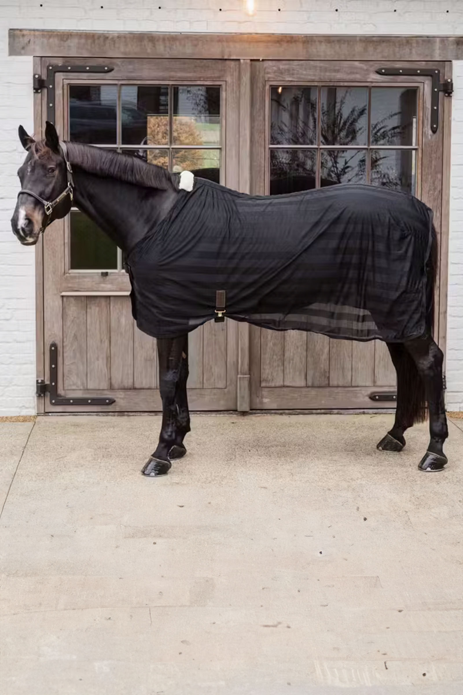 Kentucky Horsewear leichte gestreifte Fliegendecke aus Mesh