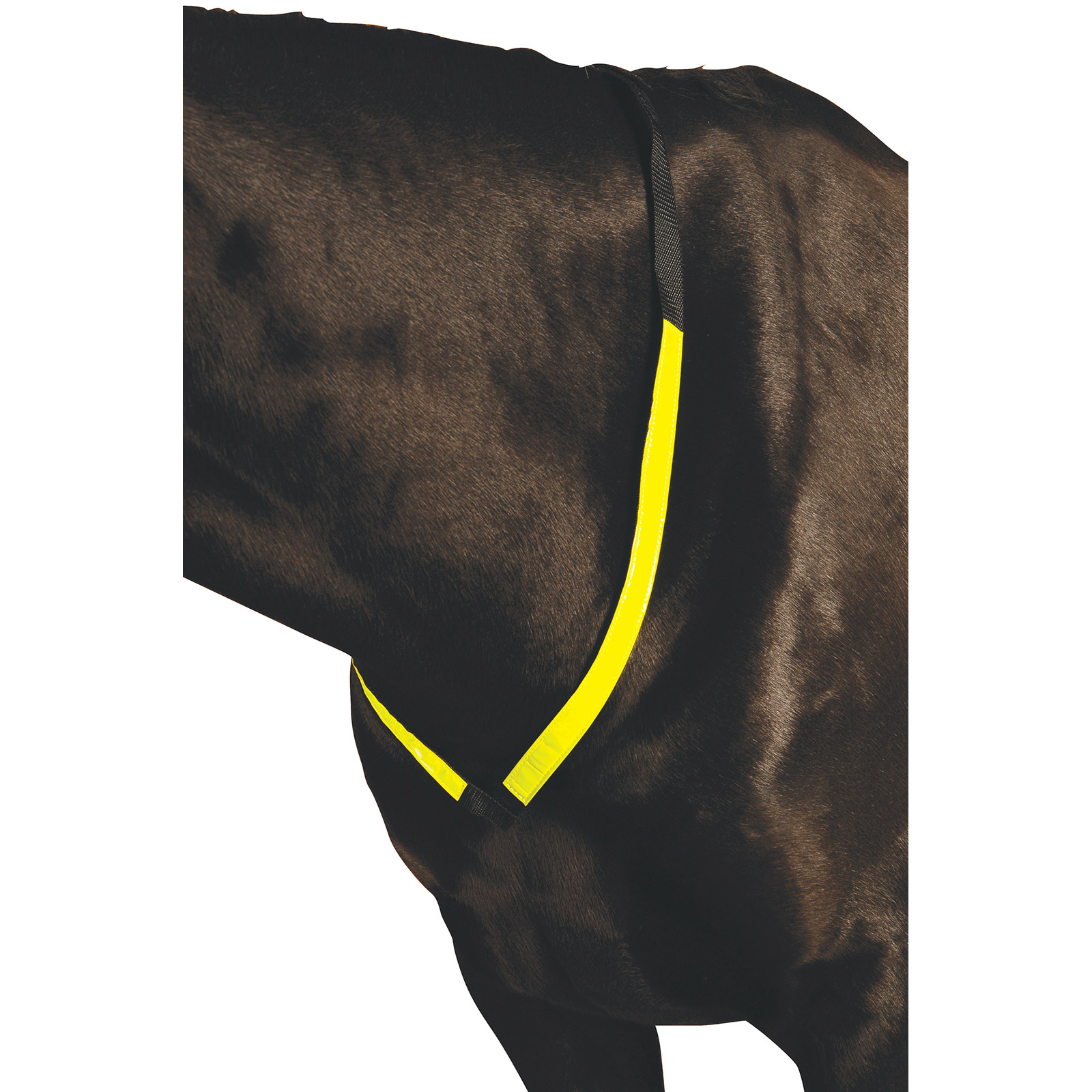 Roma reflektierendes Vorderzeug