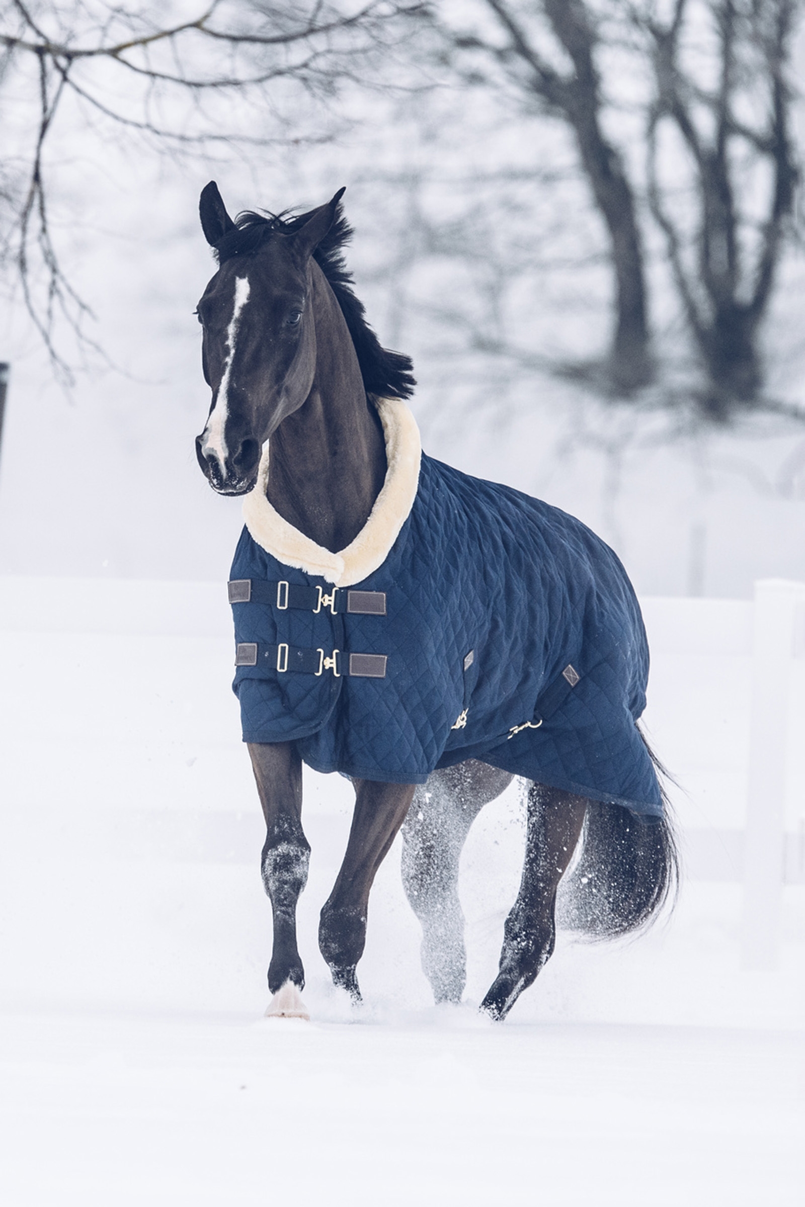 Kentucky Horsewear Turnierdecke,160g