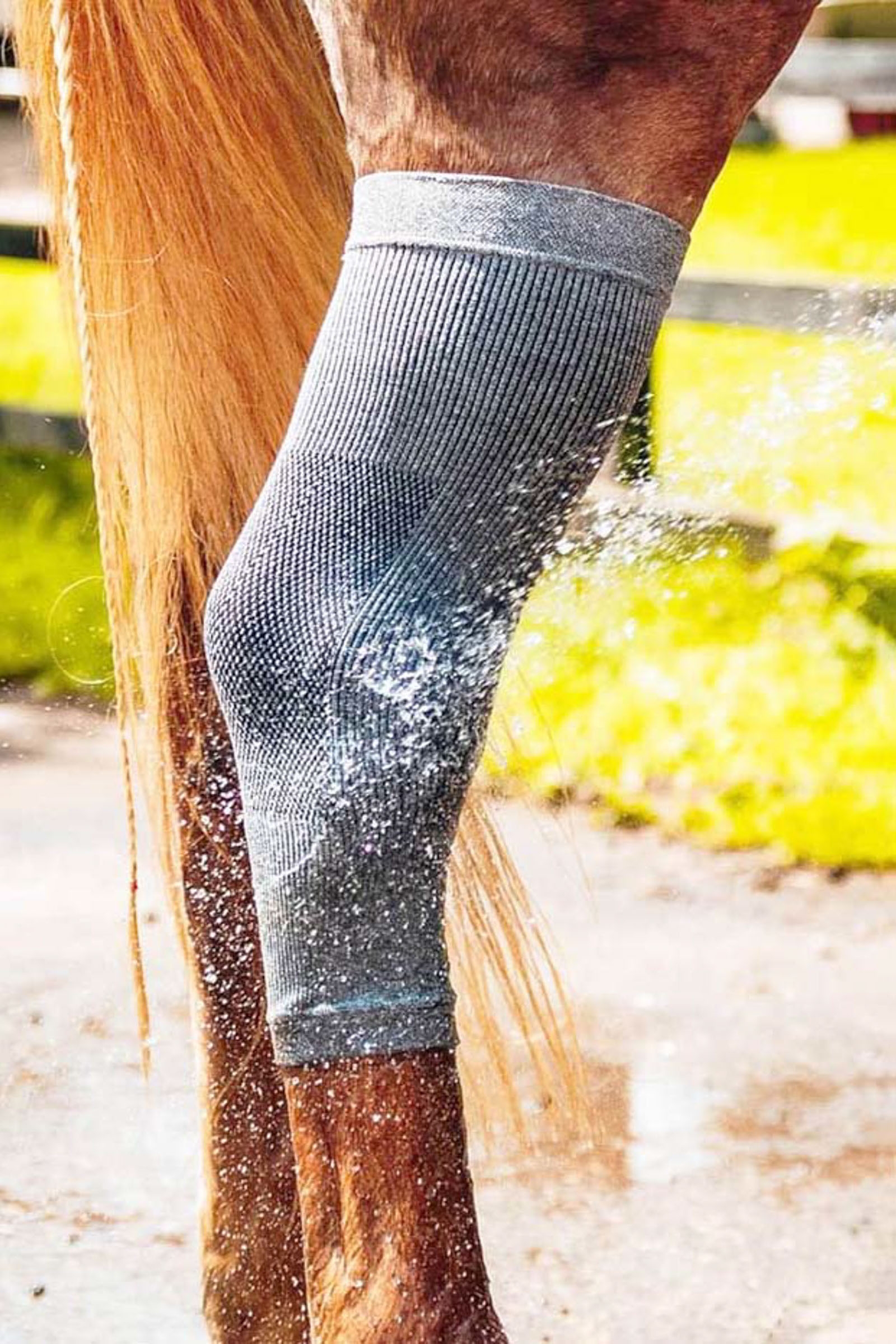 Incrediwear Circulation Hoof Socks