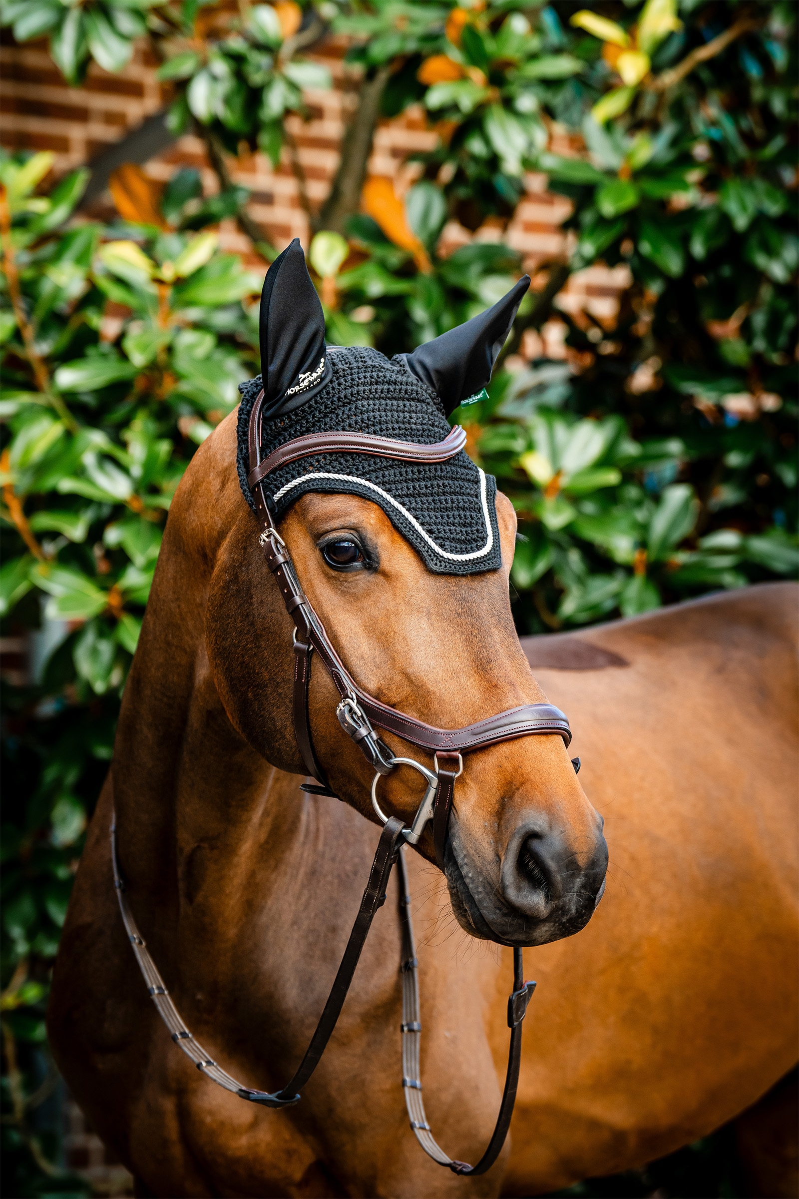 Black Horseware Signature Fliegenhaube
