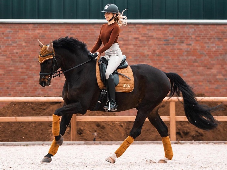 Reiten mit Bandagen Reiten mit Bandagen