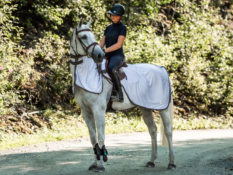 Pferd mit Ausreitdecke