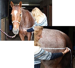 Festlegung der Deckengröße