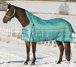 Eindecken in der Boxenhaltung
