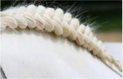 Mähne einflechten Mähne einflechten